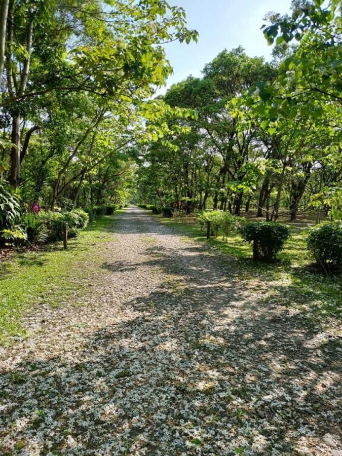 花蓮金澤居民宿樹窩民宿御安居民宿寵物友善 Ji'an Bagian luar foto
