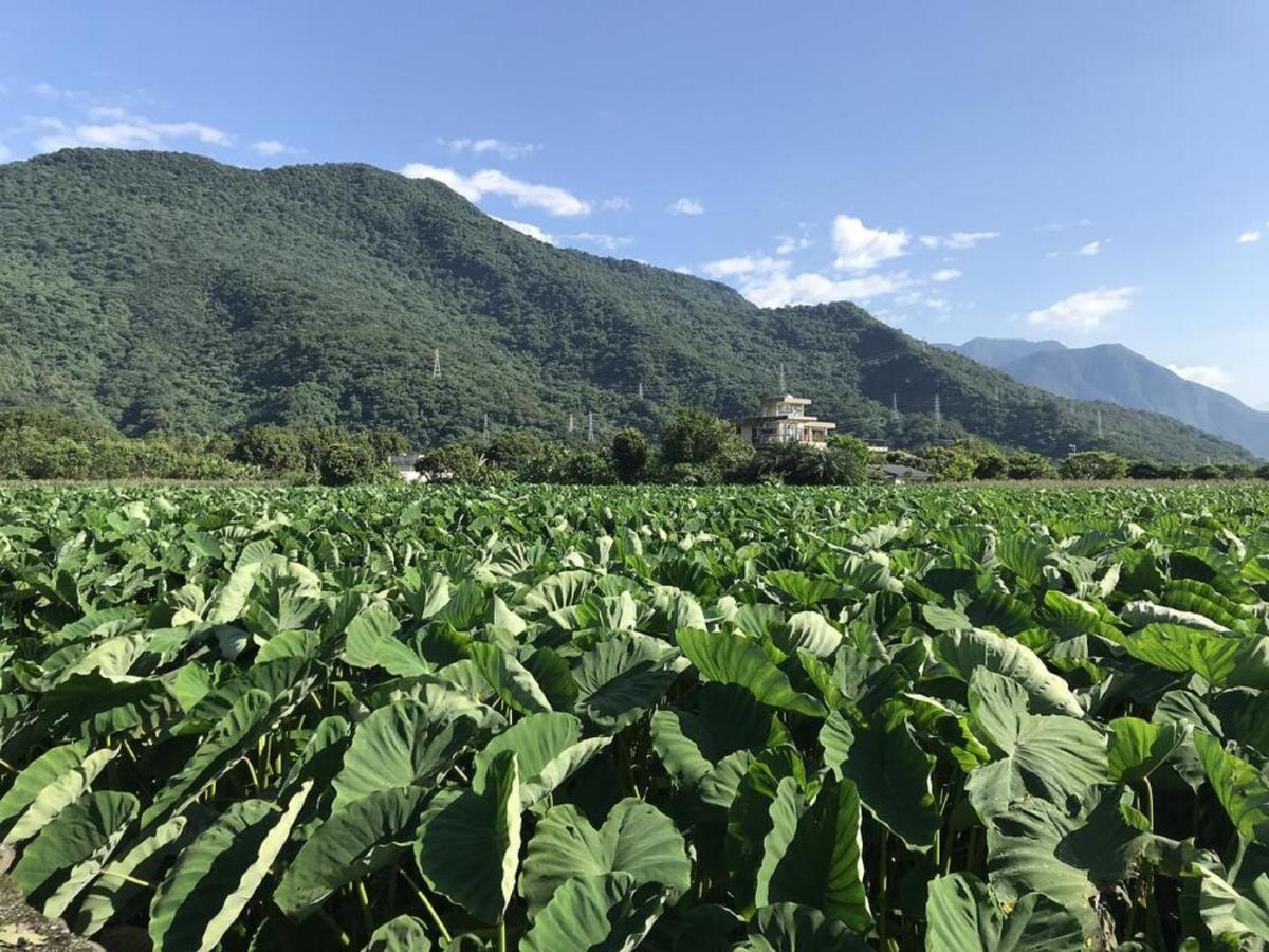 花蓮金澤居民宿樹窩民宿御安居民宿寵物友善 Ji'an Bagian luar foto